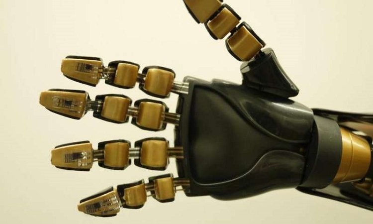 Robot hand (1)
