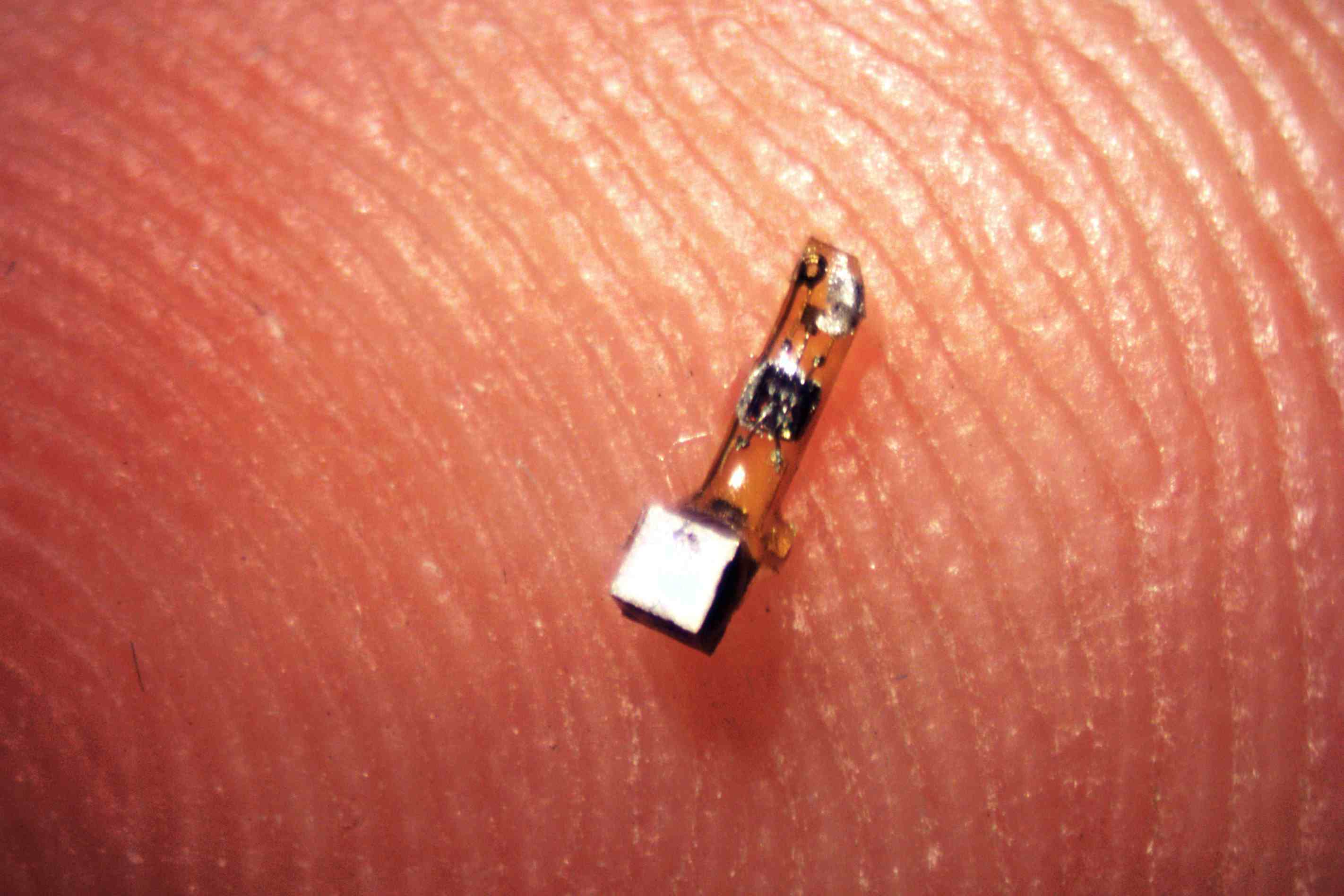 Iota Biosciences розробив датчики під шкіру
