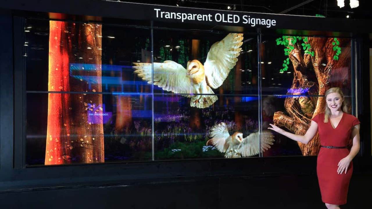 Transparent LG OLED