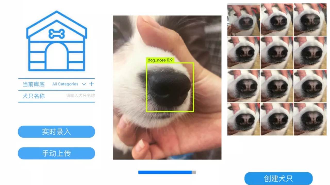 Штучний інтелект Megvii може розпізнати собак за відбитками носа