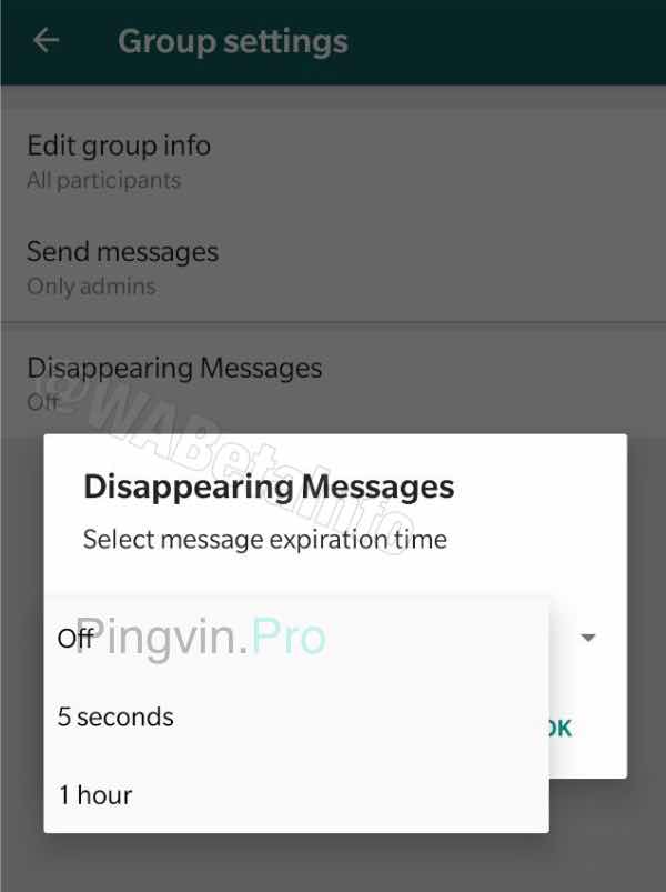WhatsApp налаштування зникаючих повідомлень