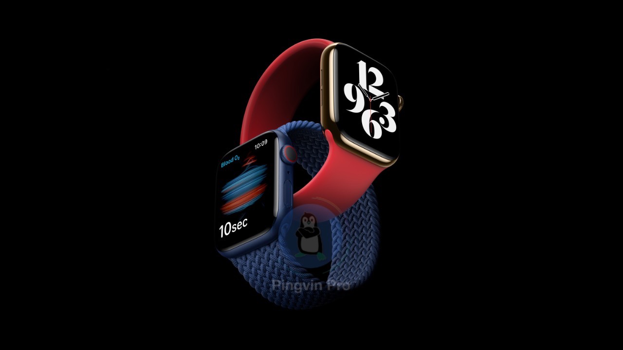 Apple Watch Series 6 / watchOS 7.3 / Apple Watch 6