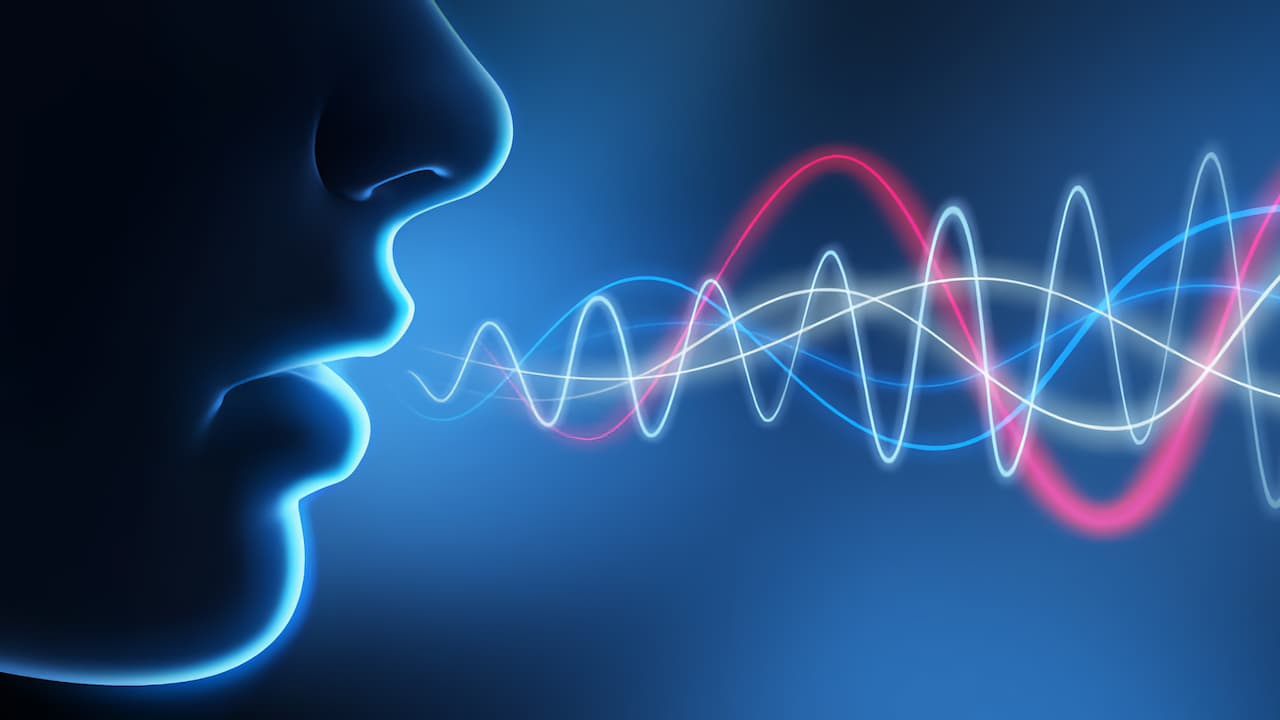 Технологія розпізнавання по голосу (Voice ID)