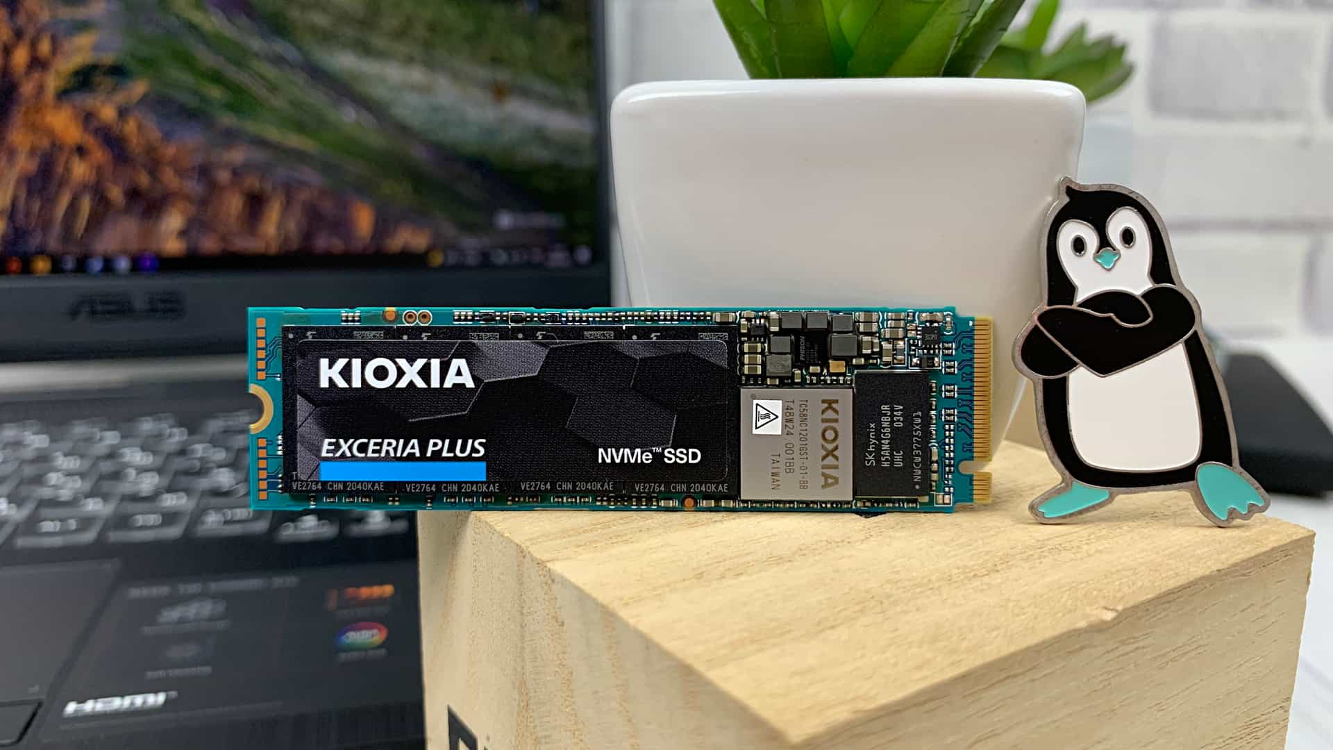 Kioxia Exceria Plus SSD