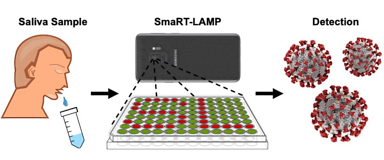 SmaRT-LAMP виявлення covid-19 через смартфон
